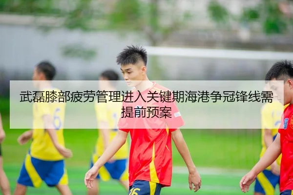 武磊膝部疲劳管理进入关键期海港争冠锋线需提前预案