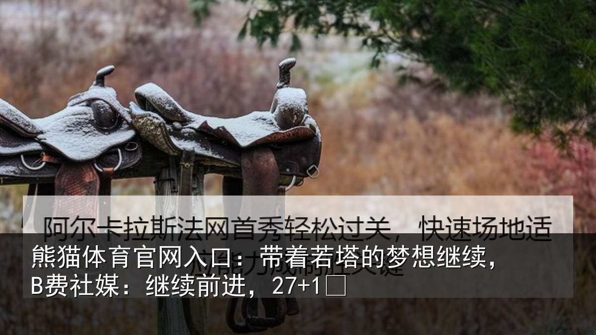 熊猫体育官网入口：带着相关情况社媒：继续前进，27+1✨