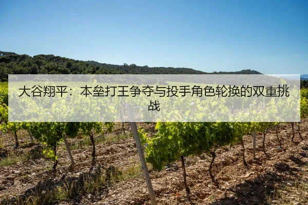 大谷翔平：本垒打王争夺与投手角色轮换的双重挑战