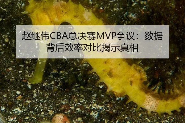赵继伟CBA总决赛MVP争议：数据背后效率对比揭示真相