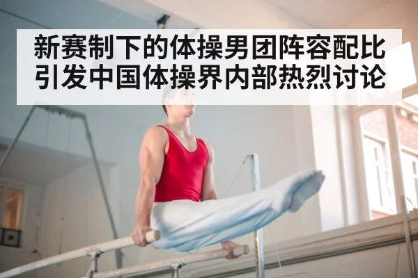 新赛制下的体操男团阵容配比引发中国体操界内部热烈讨论